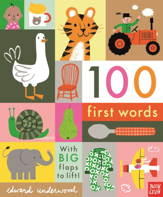 100 First Words by Edward Underwood