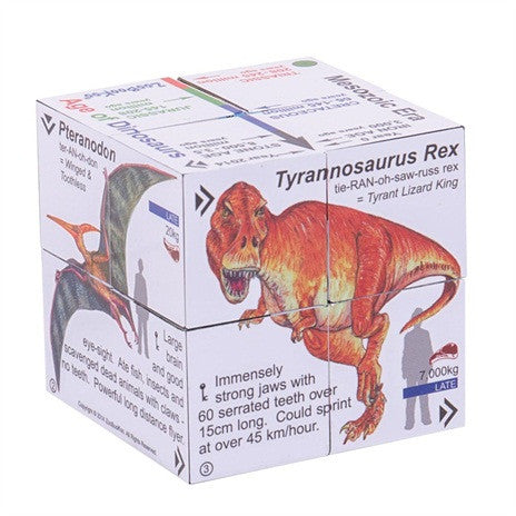 Zoobookoo Cube Book - Dinosaurs