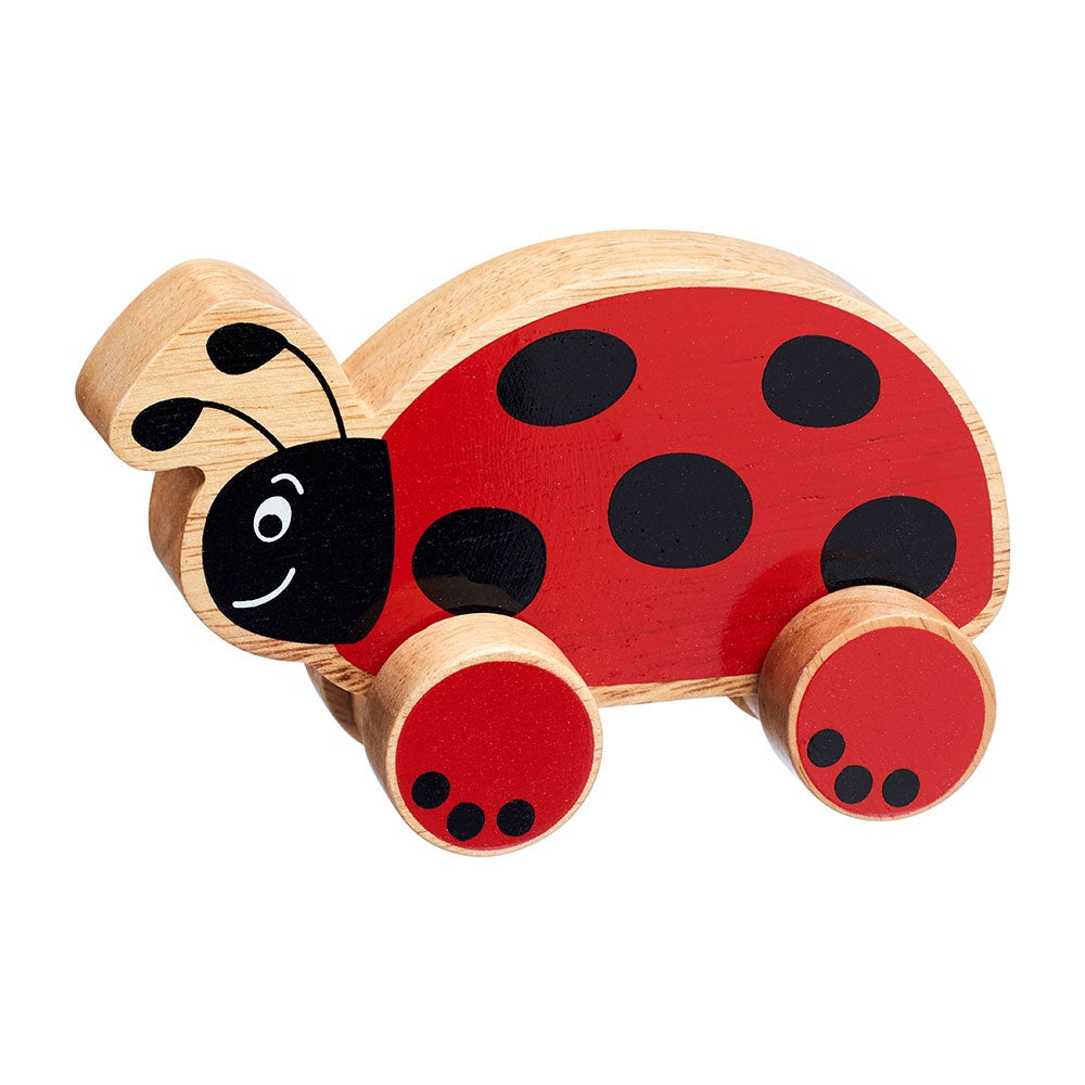 Push Along Ladybird - wooden push along toy