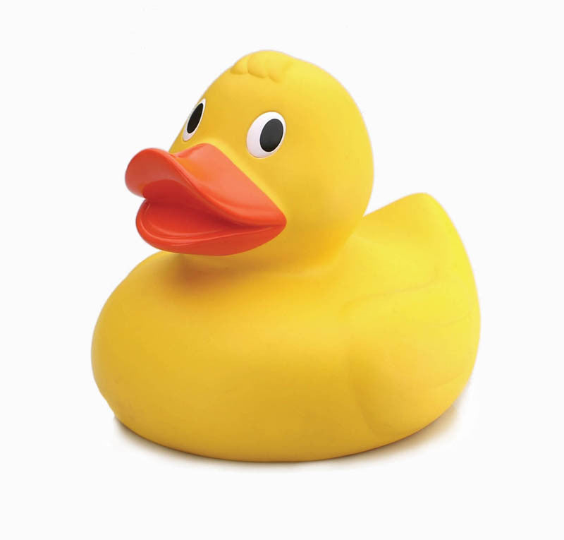 Bath Toys