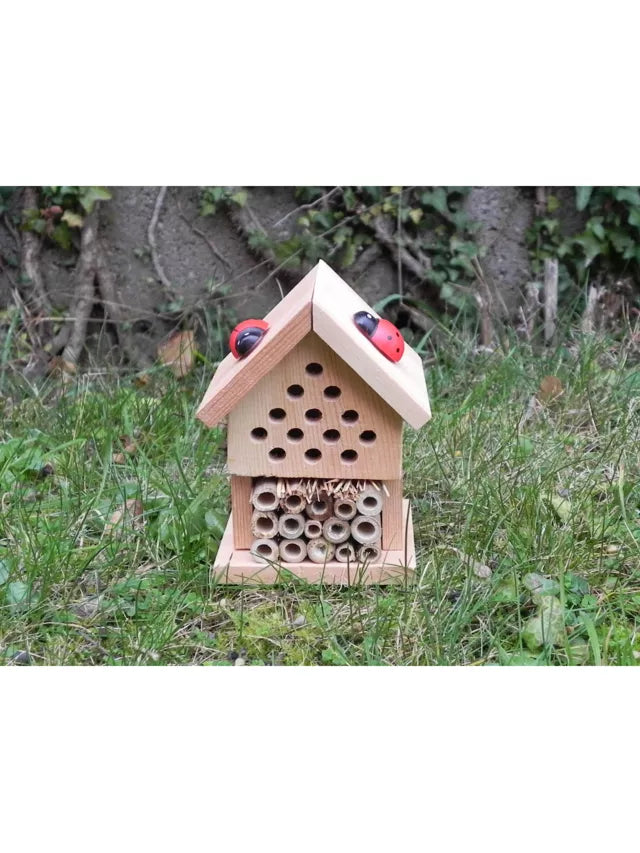 Make Your Own Insect House - Gift in a Tin