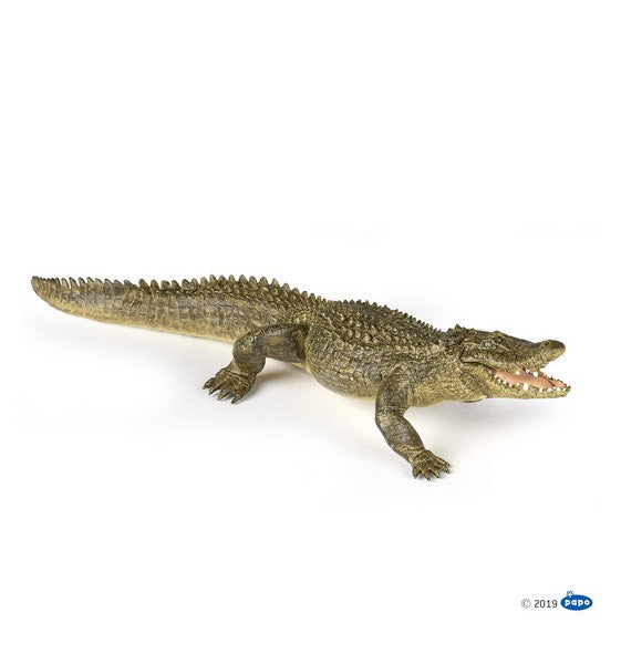 PAPO WILD ANIMALS  - Alligator