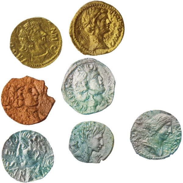 Dig Discovery Roman Coins