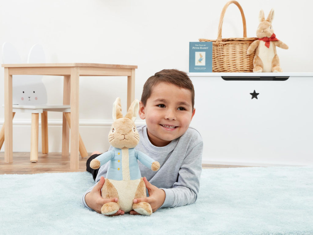 Peter Rabbit Soft Toy (24cm)