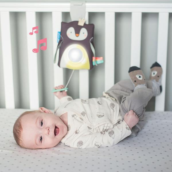 Taf toys prince the penguin baby soother sales