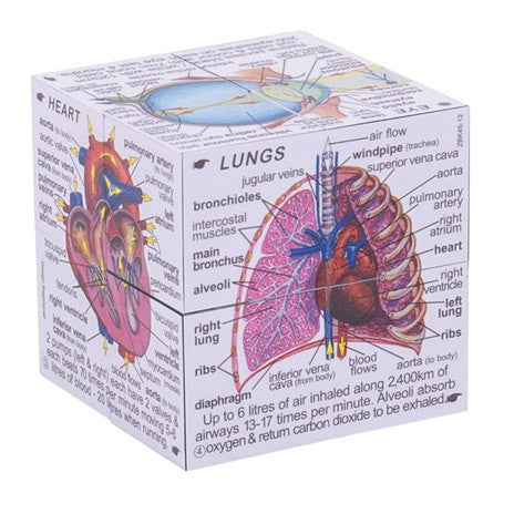 ZooBooKoo Cube Book - Human Body Anatomy