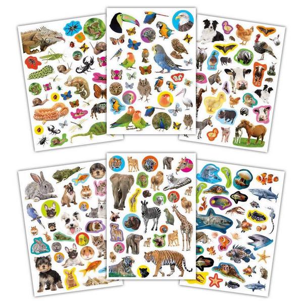 Photographic Sticker Book - Animals